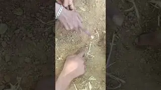🤣🤣🤣#fannyvideo #prankfails #fannyvideo #hilariousfails #comedygold #funny #comedy #trending #shorts