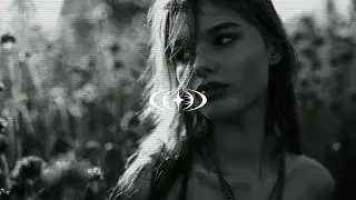 SHEXPIR - Dream Shift