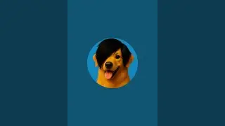 Animal fun world  is live