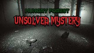 Missing 411 Persons In Forest: The Disturbing Pattern Behind Unexplained Vanishings