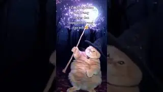 Mwe hehe 😏 ll #cat #wizard #halloween #cute #catlover #gato #memes #wizardcat #memesdaily #meme