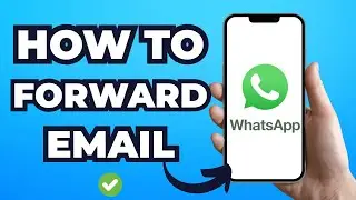 How to Forward Email to WhatsApp  (Updated 2025)