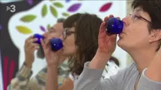 TV3 TN Comarques Centre de la Cultura de l'Oli de Catalunya