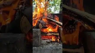 Asmr fuoco brace BBQ #asmr #asmrsounds #bbq #legna #natura #lago #fiamma