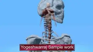 Yogeshwarraj Sample file