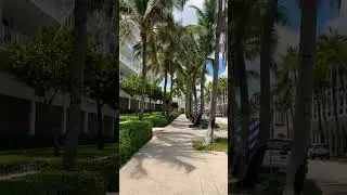 #travel #usa #miami #nature #fun #fun #enjoy #youtubeshorts