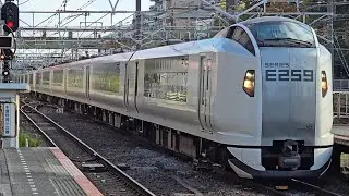 【特急成田エクスプレス24号】2024M E259系Ne017編成 Ne008編成 津田沼駅 通過シーン