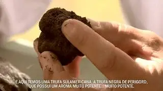 cultivo de trufas en Chile - Agrobiotruf - portugués
