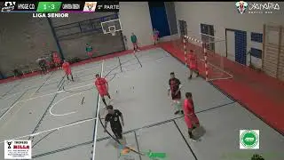 LIGA SENIOR 9&ordf; JORNADA 2&ordf; PARTE  HYGEE C D    CARPINTERIA OBREGON