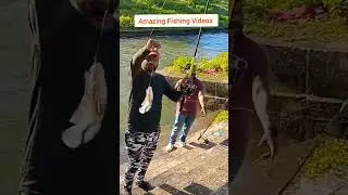 Deccan Shikari team tilapia Fish catching videos at medak pocharam dam canal,Fish catching videos