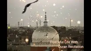 Heart smoothing Quran recitation.#quranrecitation #bestscenery #shortvideo #islamicrecitation #love
