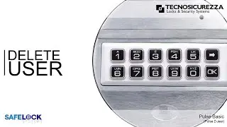 Pulse Basic - Delete User