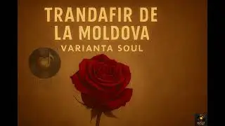 Trandafir de la Moldova - Varianta Soul
