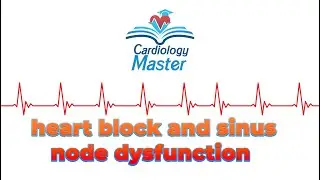 heart block and sinus node dysfunction