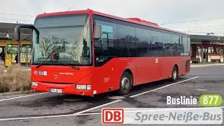 SNB Forst | Mitfahrt Bus 877: Guben Bhf - Peitz - Cottbus Hbf | Irisbus Crossway LE 12M