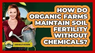 How Do Organic Farms Maintain Soil Fertility Without Chemicals? - Farm Wealth Network