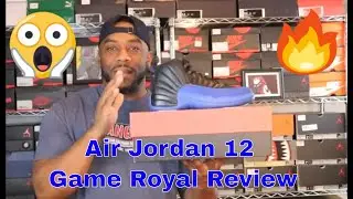 Air Jordan 12 Game Royal Pick-Up and Review