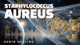 Staphylococcus Aureus 🛡️ Bioresonance Therapy | Targeted Frequency Biofield Support (BRT)