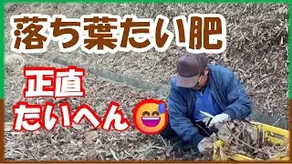 落ち葉たい肥は作るのたいへん！