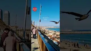 📍BARCELONA, Spain 🇪🇦 Summer  Beach Vibes 🏖 Walking Tour #travel #summer #beach #barcelona