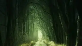 Relaxing Maestro Tlakaelel Music 365x24, Stress Relief Music,Maestro Tlakaelel music