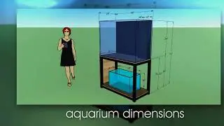 200 Gallon Custom Aquarium Laguna Beach | Fish By Design Orange County, Los Angeles | Aquariums