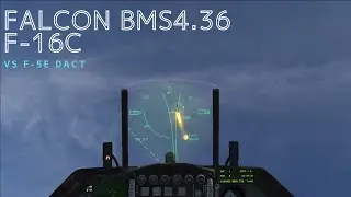 【FALCON BMS 4.36】F-16 vs F-5E Tiger DACT