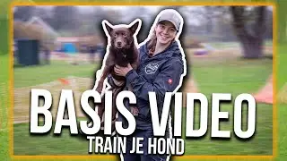 TRAIN JE HOND | BASIS VIDEO