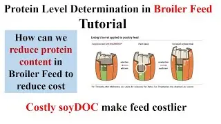 Protein in Broiler Feed | Broiler Feed Sasta Karne ka Tarika WhatsApp 9871584101