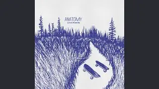 ANATOMY