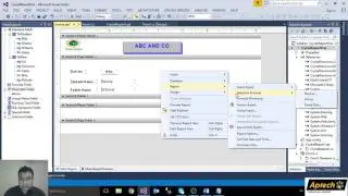 Win Form Parameter in Crystal Reports