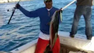 Jigging for Yellowtail with Catch 22