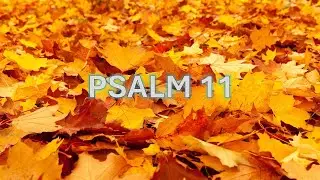 Psalm 11 - O Store Gud