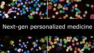 Next-gen personalized medicine by image-based screening in human tissues