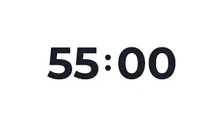 55 Minute Timer
