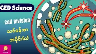 GED Science- Cell Division (Part1)
