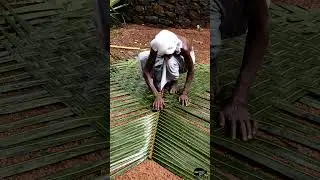 Coconut Leaf weaving at Home / Olamedachil