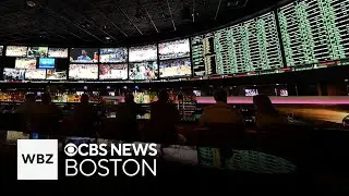 Research shows gambling harm and frequency increased in Massachusetts