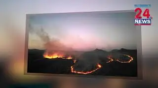 Record Wildfires Rage Across Brazil as Amazon Faces Worst Drought in 40 Years