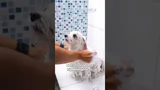 Apresenta&ccedil;&atilde;o!
