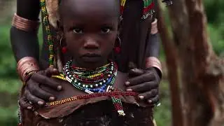 African || No Copyright Video 4K ||