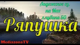 Русская Рыбалка 4 Ладожское оз  Ряпушка 22 06 23