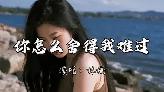 林栖 - 你怎么舍得我难过『最爱你的人是我 你怎么舍得我难过 对你付出了这么多 你却没有感动过。』『动态歌词MV』#翻唱 #经典老歌 #推荐好听的歌曲