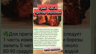 чага