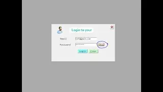 Show Hide Password in VB 6.0 step by step