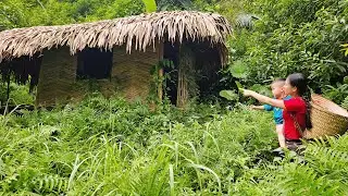 Tin work hard to earn money to buy land to start a business - Wish to have a small house to live