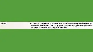 IRON NUTRIENT PLUS ITS ROLES IN THE BODY 