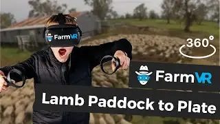 Lamb Paddock to Plate Story - FarmVR Virtual Reality Farming Experiences