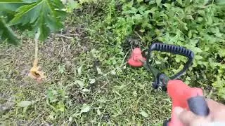 nakazaki battery powered sprayer