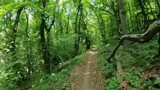 Alte Rodelbahn Full Run